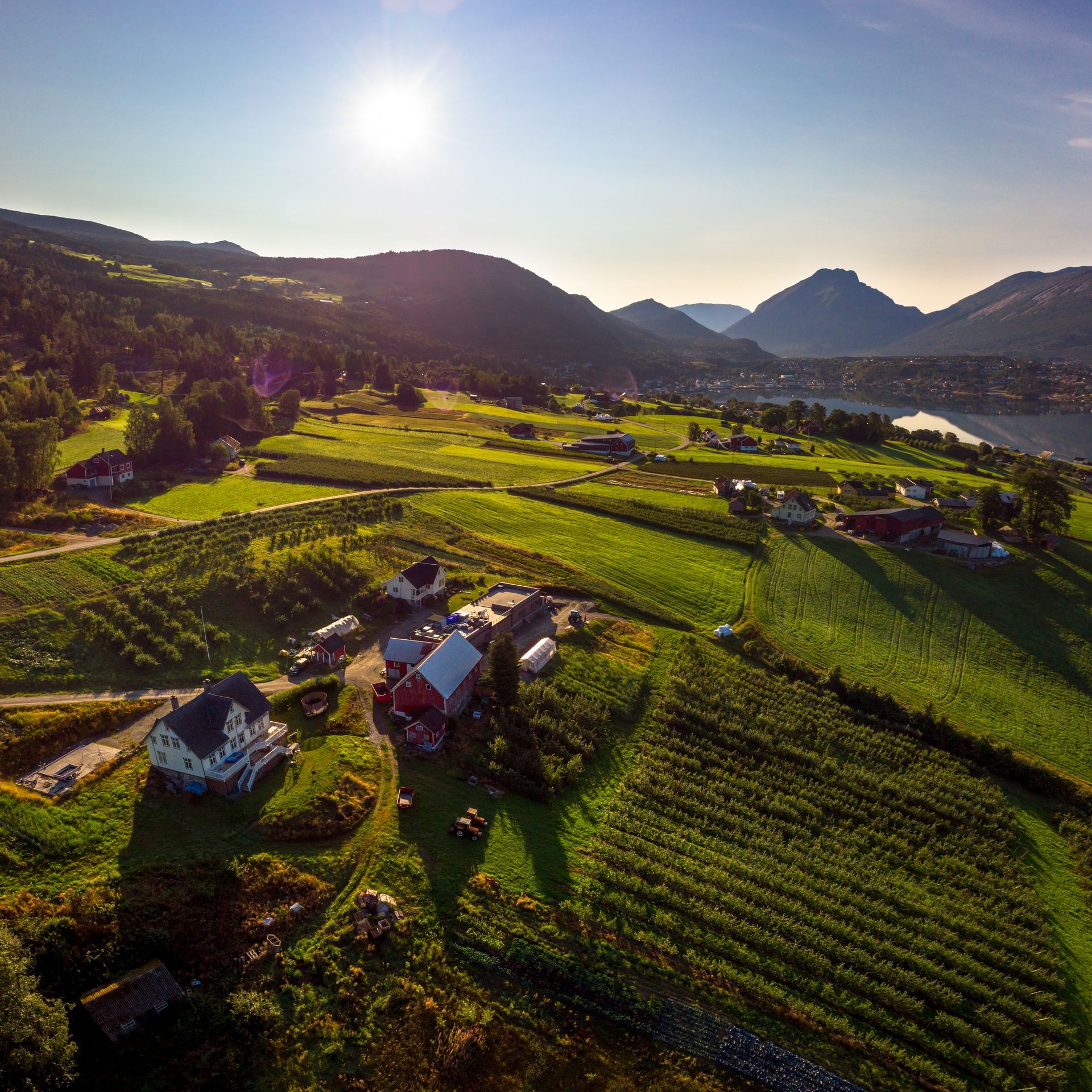 Garden vår